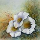 134__zwei Wicken__Aquarell__40 x 60cm.jpg
